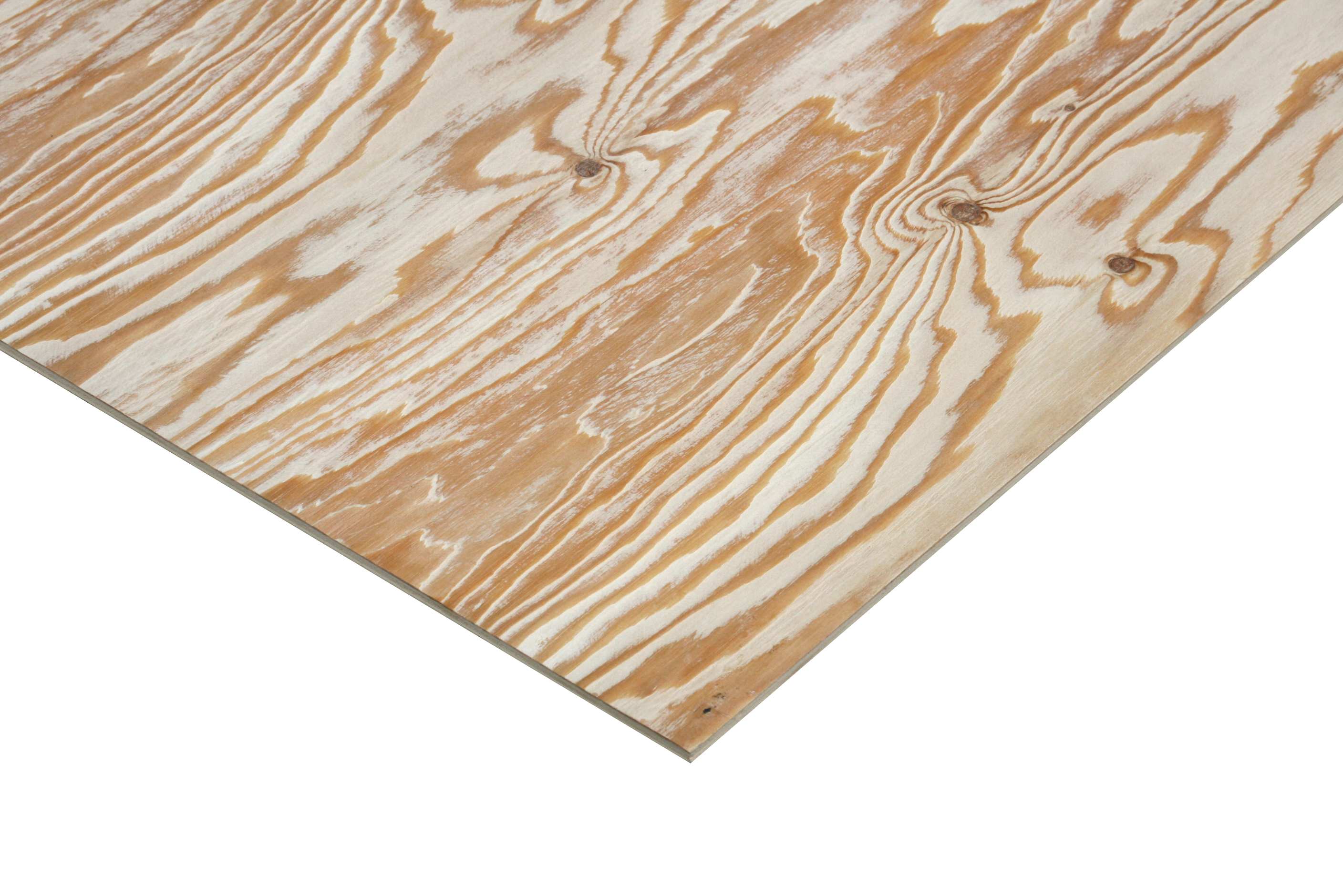 3530891378_6GMrqdW7_7eabdb7fe31330a1a42d3fb1b22ab0ef1ccee50e.JPG 이미지크게보기